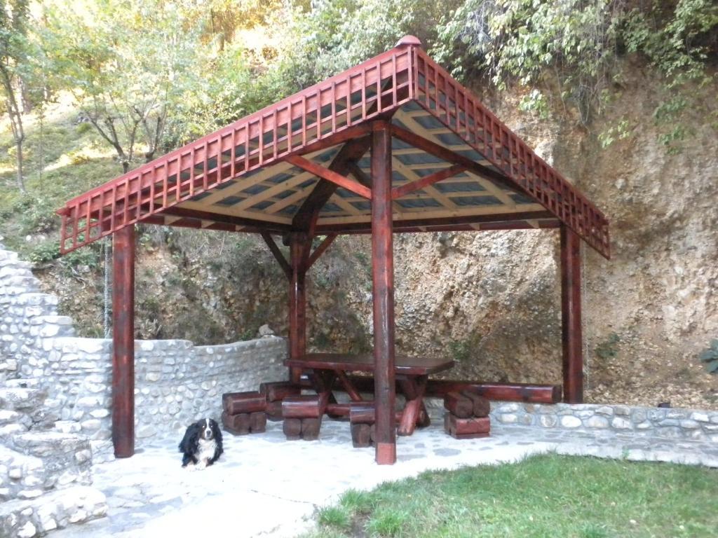 Rem'S Pension Rîşnov Εξωτερικό φωτογραφία